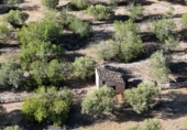 Xalet independent amb terreny en venda a la España, l'Ametlla de Mar, ref.: TR296647 foto
