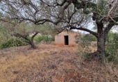 Xalet independent amb terreny en venda a la España, l'Ametlla de Mar, ref.: TR296647 foto