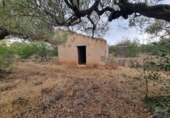 Xalet independent amb terreny en venda a la España, l'Ametlla de Mar, ref.: TR296647 foto