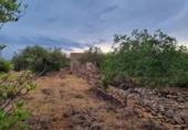 Xalet independent amb terreny en venda a la España, l'Ametlla de Mar, ref.: TR296647 foto