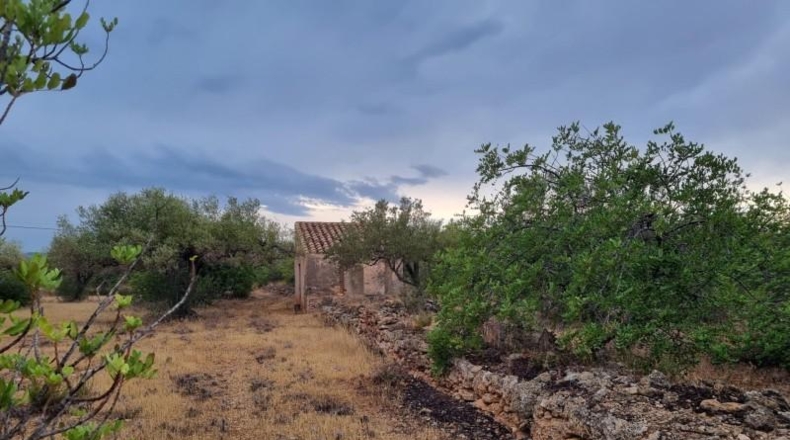 Tarragona - l'Ametlla de Mar - 14068m2