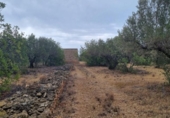 Xalet independent amb terreny en venda a la España, l'Ametlla de Mar, ref.: TR296647 foto