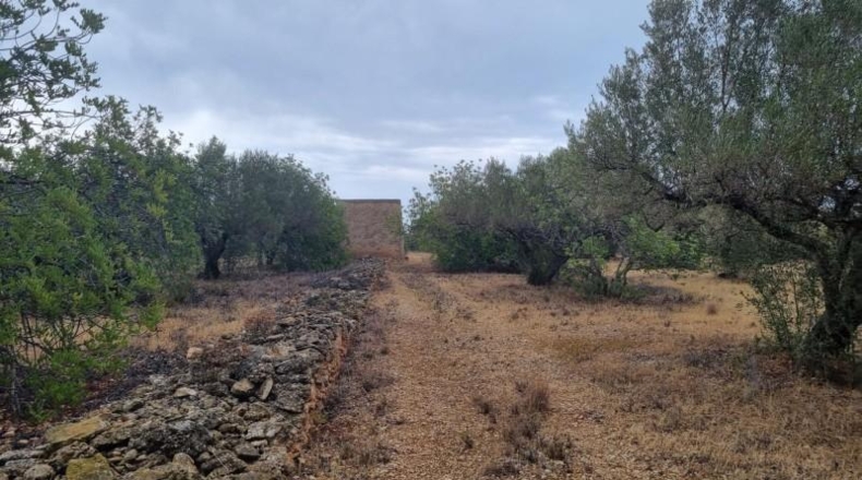 Tarragona - l'Ametlla de Mar - 14068m2