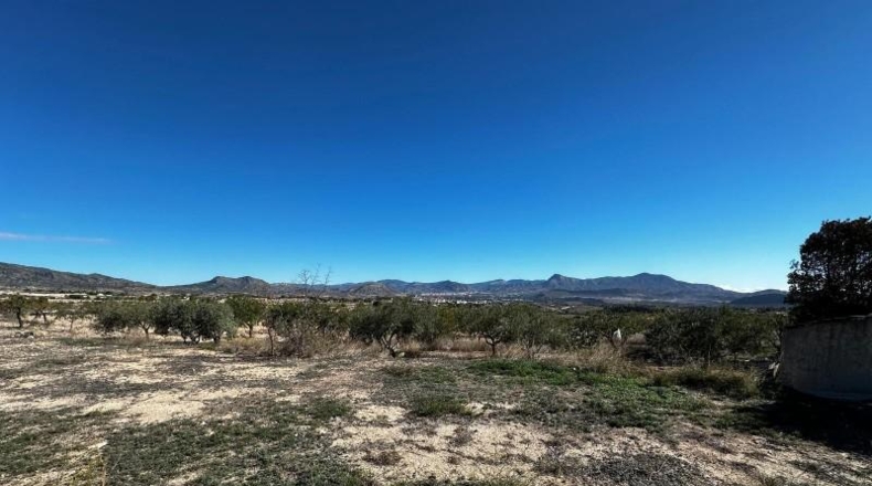 Alicante - Monóvar - 14000m2