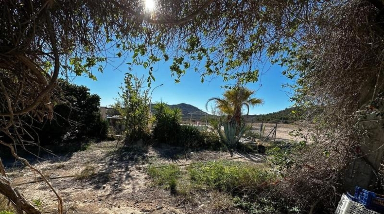 Alicante - Monóvar - 14000m2