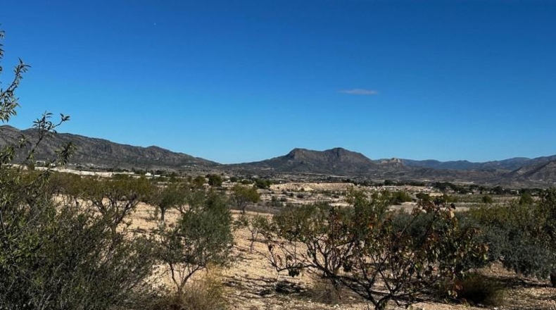 Alicante - Monóvar - 14000m2