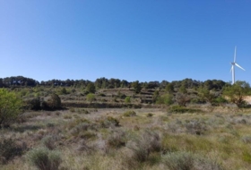 Gandesa 79328&nbsp;m² 