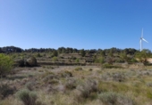 Terreno no urbanizable en venta en la España, Gandesa, ref: TR324939 foto