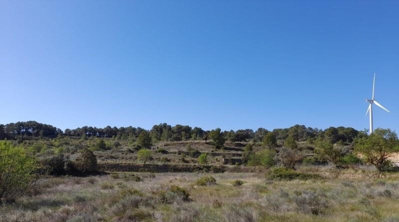 Tarragona - Gandesa - 79328m2