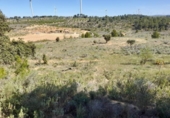 Terreno no urbanizable en venta en la España, Gandesa, ref: TR324939 foto