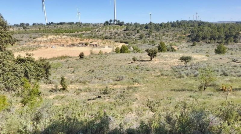 Tarragona - Gandesa - 79328m2