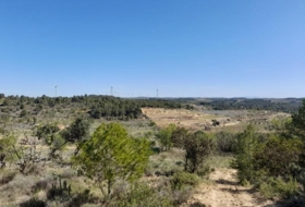 Gandesa 79328&nbsp;m² 