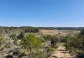Terreno no urbanizable en venta en la España, Gandesa, ref: TR324939 foto