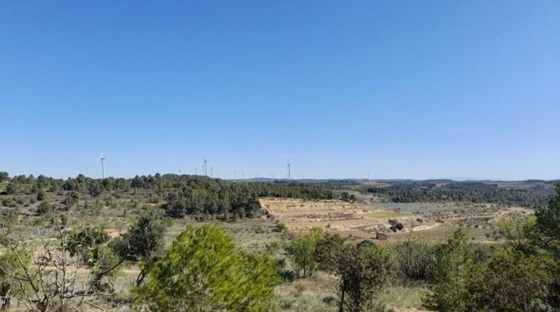 Tarragona - Gandesa - 79328m2
