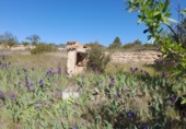 Terreno no urbanizable en venta en la España, Gandesa, ref: TR324939 foto