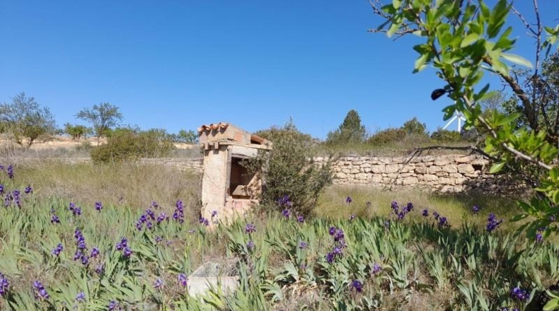 Tarragona - Gandesa - 79328m2