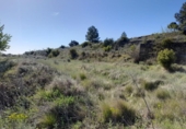 Terreno no urbanizable en venta en la España, Gandesa, ref: TR324939 foto