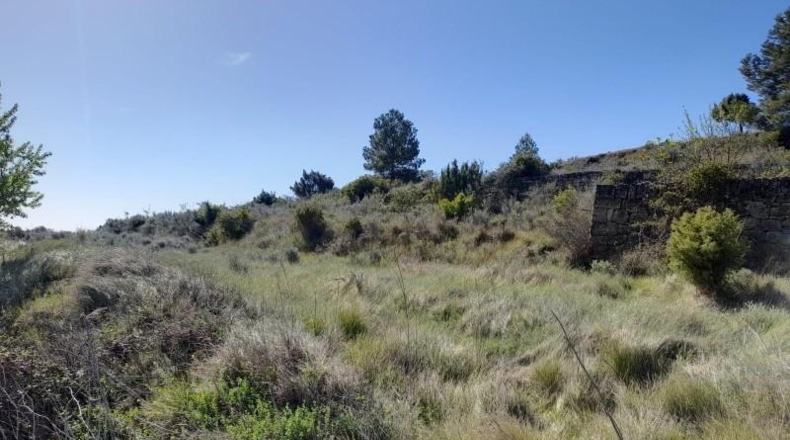 Tarragona - Gandesa - 79328m2