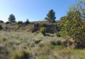 Terreno no urbanizable en venta en la España, Gandesa, ref: TR324939 foto