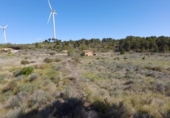Terreno no urbanizable en venta en la España, Gandesa, ref: TR324939 foto