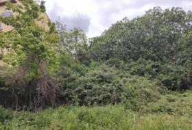 Olot 214&nbsp;m²
