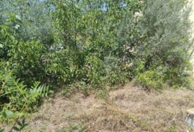 Olot 214&nbsp;m²