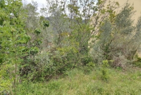 Olot 214&nbsp;m²
