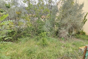 Olot 214&nbsp;m²