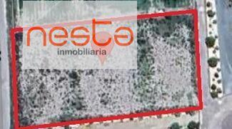 Murcia - Lorca - 5307m2