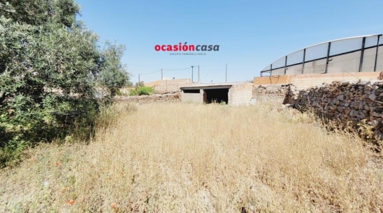 Córdoba - Pedroche - 603m2