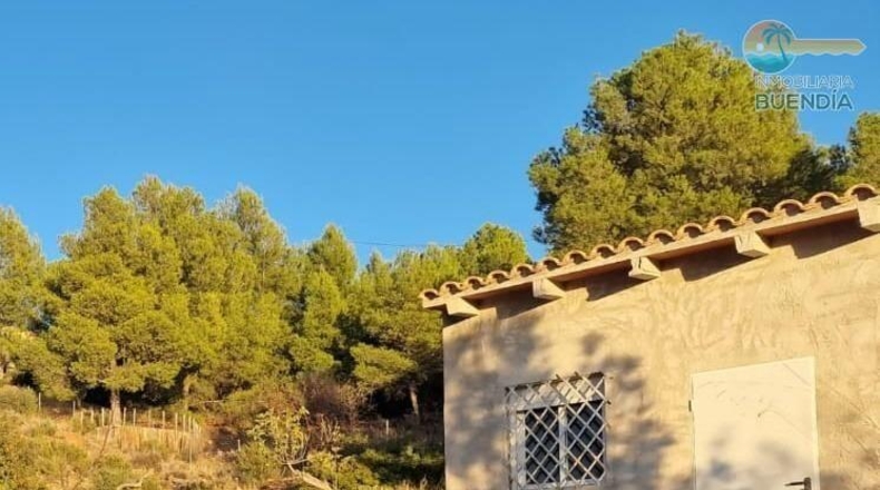 Murcia - Тотана - 3953m2