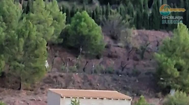 Murcia - Тотана - 3953m2