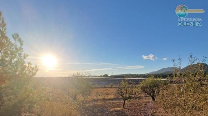 Murcia - Тотана - 3953m2