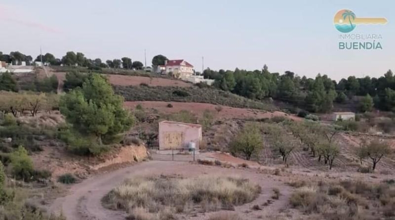 Murcia - Тотана - 3953m2