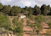 Casa de campo con terreno en venta en la España, Totana, ref: TR296213 foto