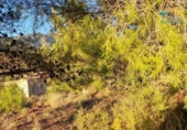 Casa de campo con terreno en venta en la España, Totana, ref: TR296213 foto