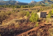 Casa de campo con terreno en venta en la España, Totana, ref: TR296213 foto
