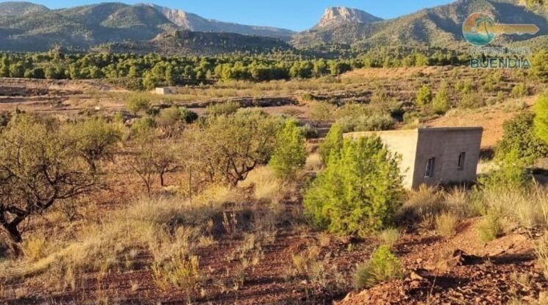 Murcia - Тотана - 3953m2