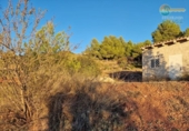 Casa de campo con terreno en venta en la España, Totana, ref: TR296213 foto
