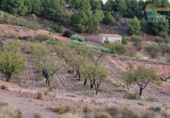 Casa de campo con terreno en venta en la España, Totana, ref: TR296213 foto