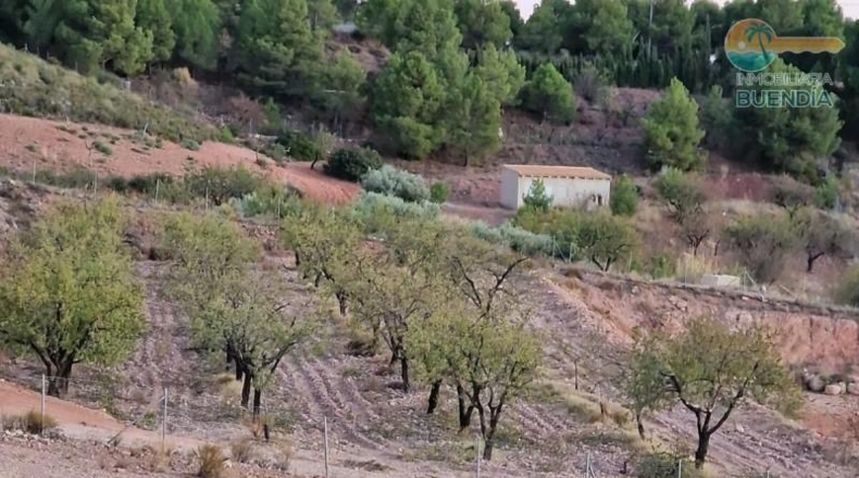 Murcia - Тотана - 3953m2