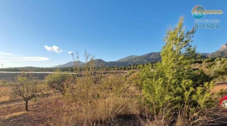 Murcia - Тотана - 3953m2