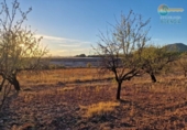 Casa de campo con terreno en venta en la España, Totana, ref: TR296213 foto