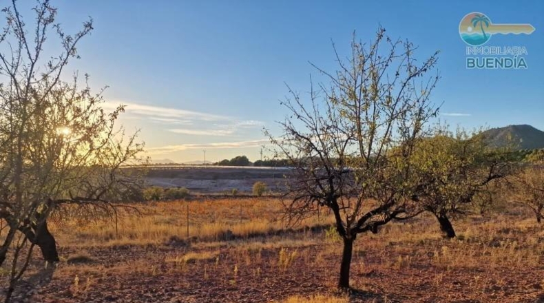 Murcia - Тотана - 3953m2