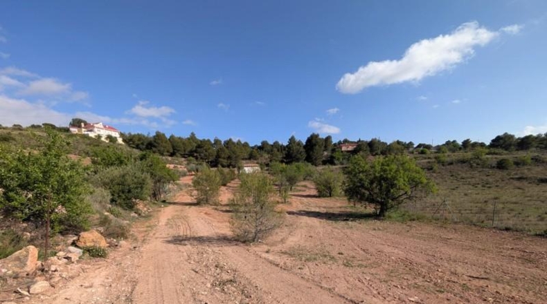 Murcia - Тотана - 3953m2