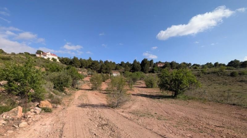 Murcia - Тотана - 3953m2
