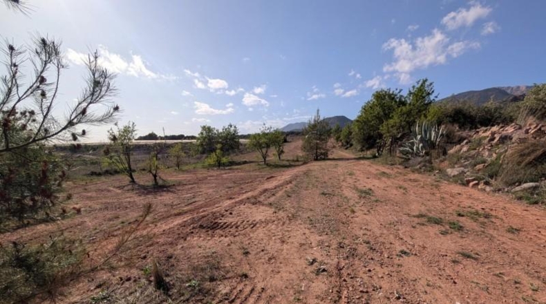 Murcia - Тотана - 3953m2