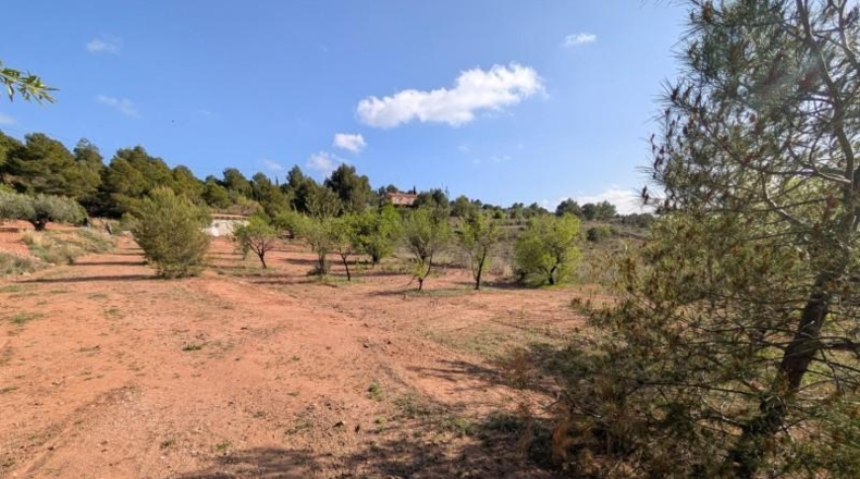 Murcia - Тотана - 3953m2