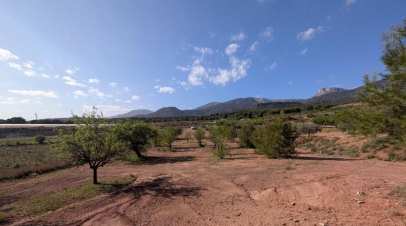 Murcia - Тотана - 3953m2