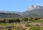 Casa de campo con terreno en venta en la España, Totana, ref: TR296213 foto